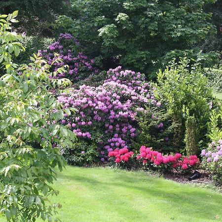 Bed & Breakfast Op 'T Leven Ermelo Kültér fotó